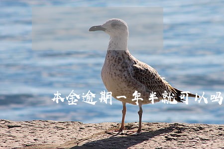本金逾期一年半就可以吗 本金逾期一年半就可以吗