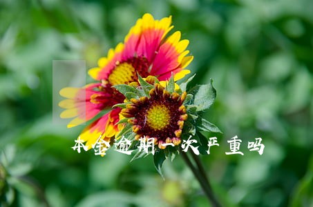 本金逾期一次严重吗 本金逾期一次严重吗