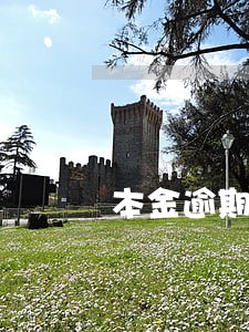 本金逾期上征信缓和期 本金逾期上征信缓和期