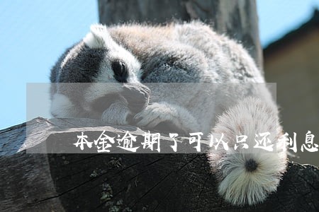 本金逾期了可以只还利息吗 本金逾期了可以只还利息吗
