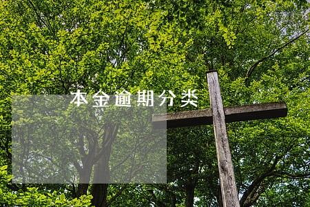 本金逾期分类 本金逾期分类