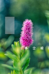 本金逾期利息和罚息都收嘛 本金逾期利息和罚息都收嘛