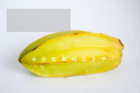 本金逾期利息多少 本金逾期利息多少