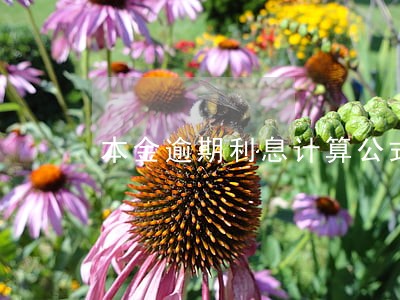 本金逾期利息计算公式 本金逾期利息计算公式