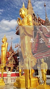本金逾期利率 本金逾期利率