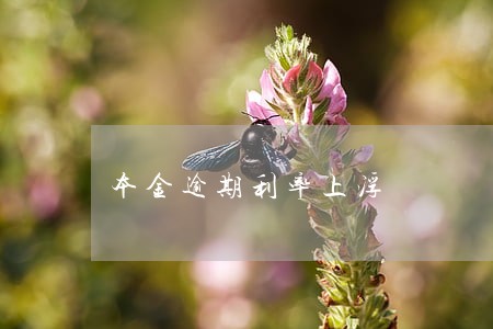 本金逾期利率上浮 本金逾期利率上浮