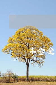 本金逾期半年协商解决 本金逾期半年协商解决