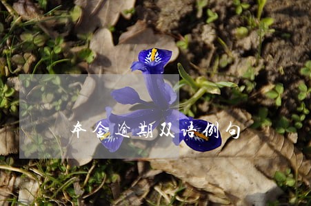 本金逾期双语例句 本金逾期双语例句