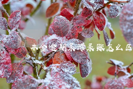 本金逾期呆滞呆账怎么区分 本金逾期呆滞呆账怎么区分
