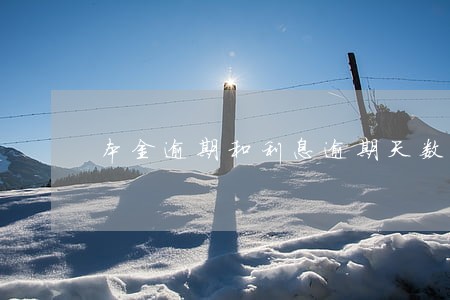 本金逾期和利息逾期天数 本金逾期和利息逾期天数