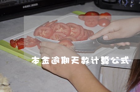 本金逾期天数计算公式 本金逾期天数计算公式