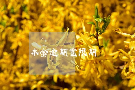 本金逾期宽限期 本金逾期宽限期