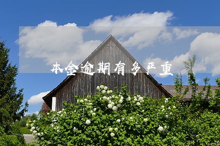 本金逾期有多严重 本金逾期有多严重