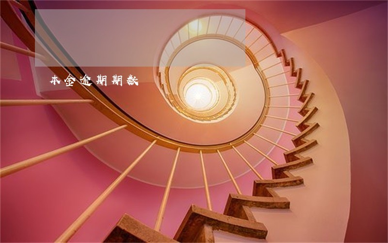 本金逾期期数 本金逾期期数