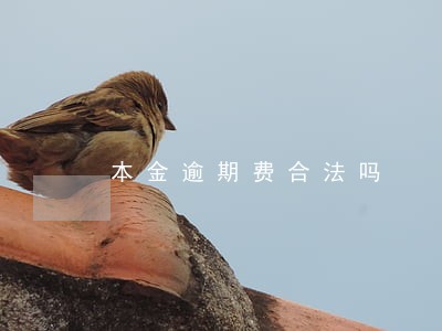 本金逾期费合法吗