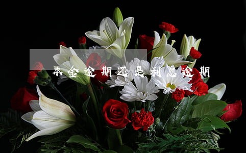 本金逾期还是利息逾期