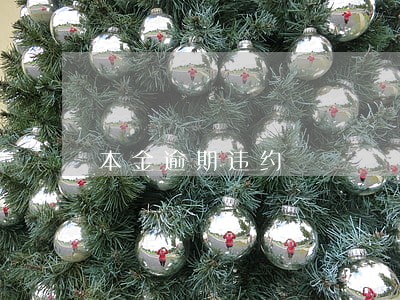 本金逾期违约 本金逾期违约