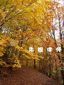 朱姐律师你好 朱姐律师你好