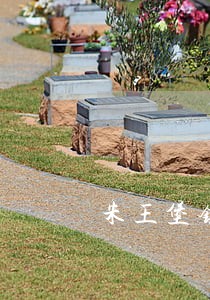 朱王堡镇司法所长 朱王堡镇司法所长