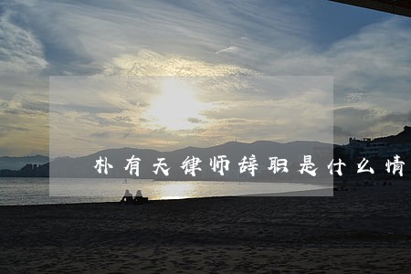 朴有天律师辞职是什么情况 朴有天律师辞职是什么情况