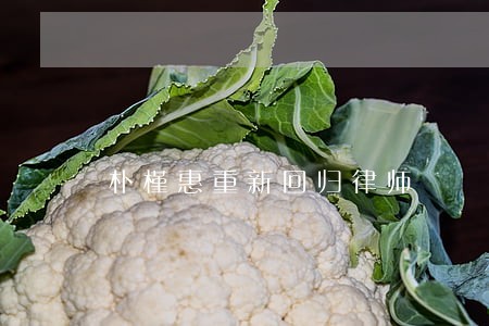 朴槿惠重新回归律师 朴槿惠重新回归律师