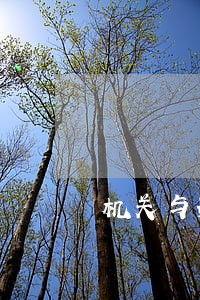 机关与辩护律师的保密协议 机关与辩护律师的保密协议