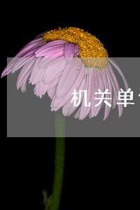 机关单位可以直接聘请律师吗