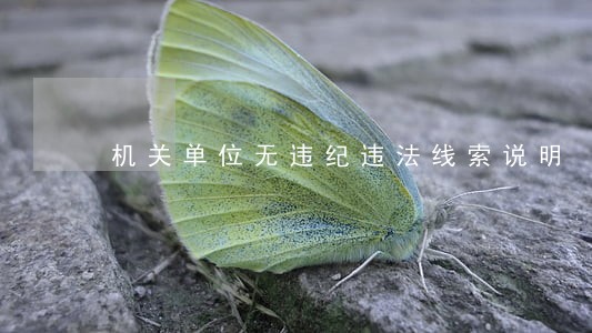 机关单位无违纪违法线索说明 机关单位无违纪违法线索说明