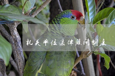 机关单位法律顾问制度 机关单位法律顾问制度