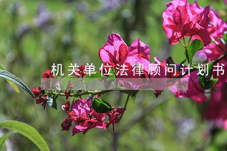 机关单位法律顾问计划书