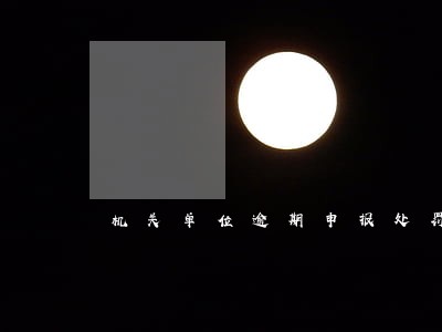 机关单位逾期申报处罚 机关单位逾期申报处罚