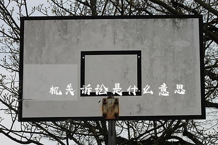 机关诉讼是什么意思 机关诉讼是什么意思