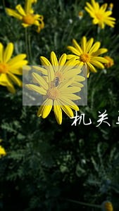 机关运行保障法规 机关运行保障法规