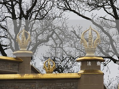 机动车交通违法查询是否隔天更新 机动车交通违法查询是否隔天更新