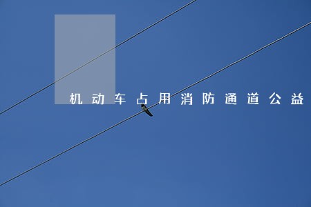 机动车占用消防通道公益诉讼 机动车占用消防通道公益诉讼