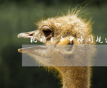 机动车年审时间规定逾期 机动车年审时间规定逾期