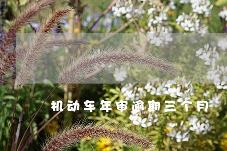 机动车年审逾期三个月 机动车年审逾期三个月