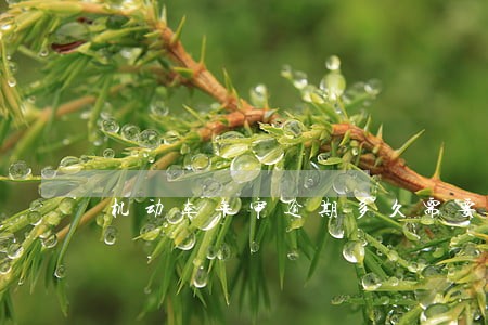机动车年审逾期多久需要扣分罚款 机动车年审逾期多久需要扣分罚款
