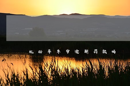 机动车年审逾期罚款吗 机动车年审逾期罚款吗