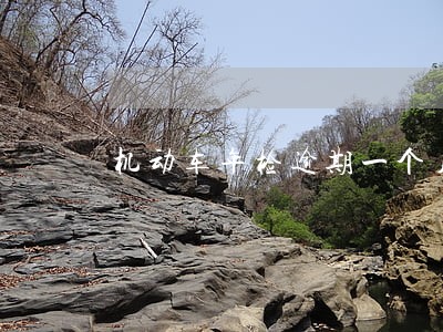 机动车年检逾期一个月 机动车年检逾期一个月