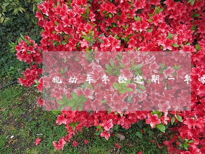 机动车年检逾期一年要扣分吗