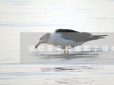 机动车年检逾期了该如何办理 机动车年检逾期了该如何办理
