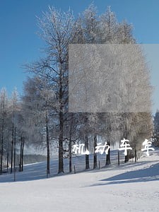 机动车年检逾期几天会有影响吗 机动车年检逾期几天会有影响吗