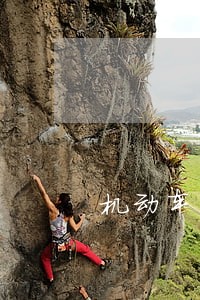 机动车年检逾期时间 机动车年检逾期时间