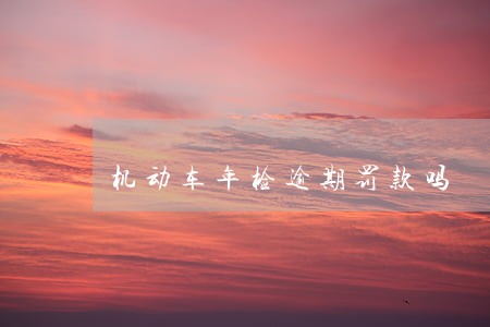 机动车年检逾期罚款吗 机动车年检逾期罚款吗