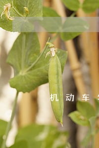 机动车年检逾期要罚款吗 机动车年检逾期要罚款吗