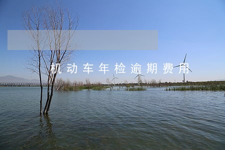 机动车年检逾期费用 机动车年检逾期费用