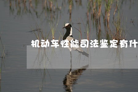机动车性能司法鉴定有什么 机动车性能司法鉴定有什么