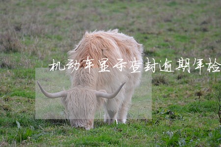 机动车显示查封逾期年检暂扣 机动车显示查封逾期年检暂扣