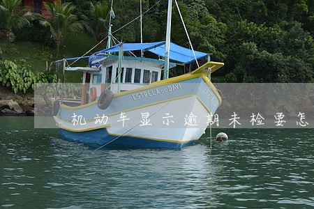 机动车显示逾期未检要怎么弄 机动车显示逾期未检要怎么弄